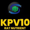 KPV10