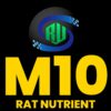 M10